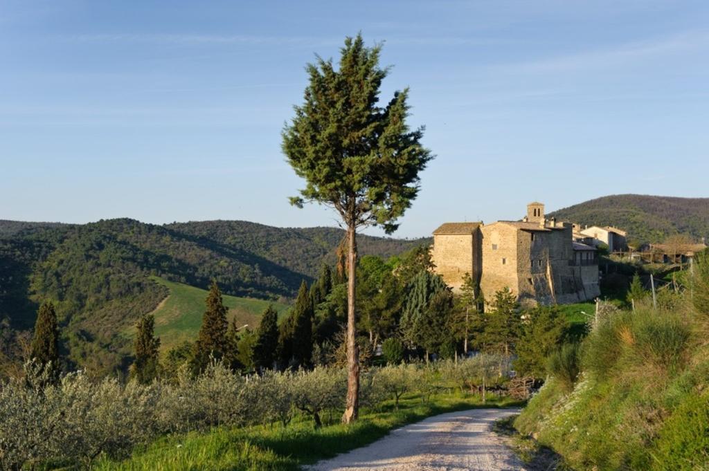 Umbria Nel Cuore Cannara Bagian luar foto